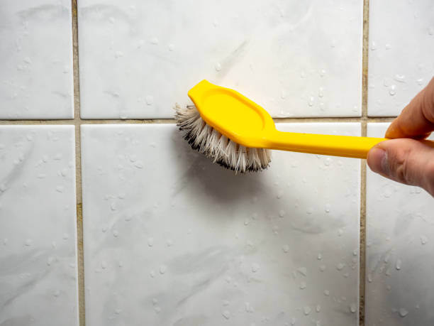 Best Mold Cleaning Services  in Lower Burrell, PA