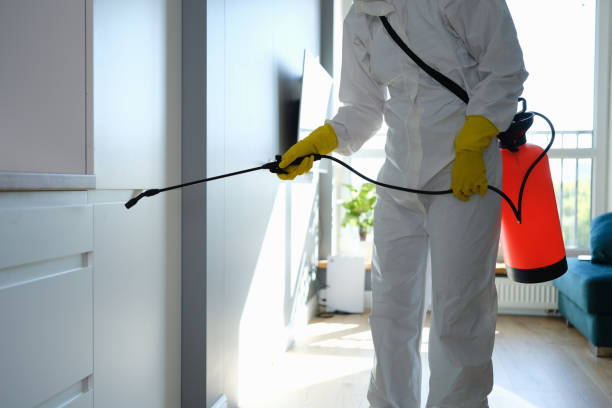 Best Home Mold Removal  in Lower Burrell, PA