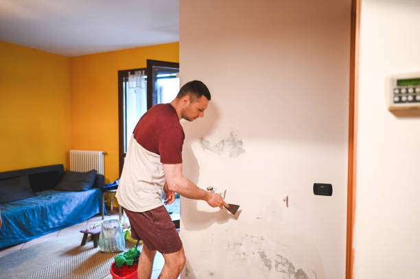 Best Mold Damage Repair  in Lower Burrell, PA